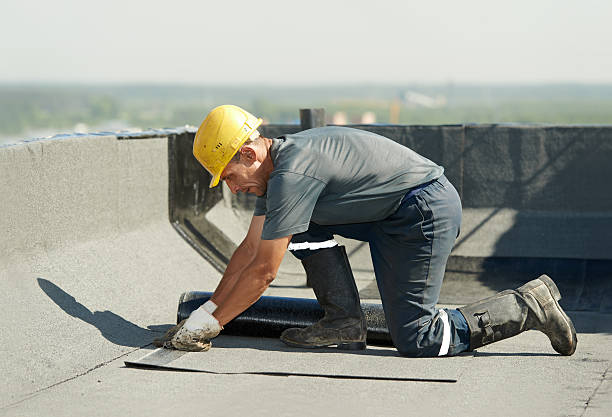 Best Cellulose Insulation in Graceville, FL