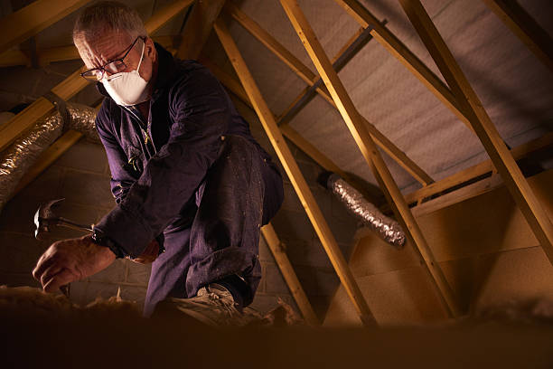Best Residential Insulation in Graceville, FL
